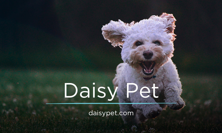 DaisyPet.com - buy Creative premium domains
